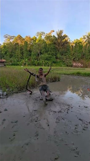 what did the ball turn into #trending