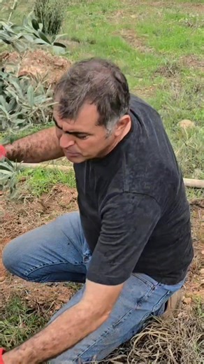 Fidan Dikerken Üstten Çıkan Toprak Neden Alta Konulur? | Mehmet Emin Öz