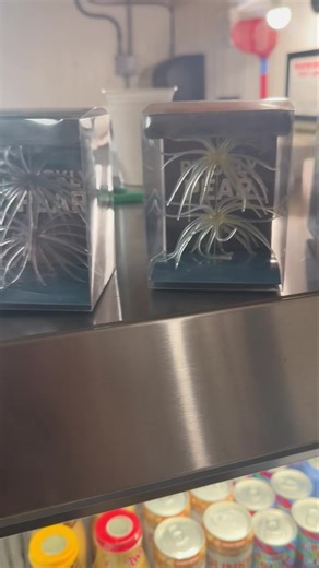 Deadly combo!! strikeforce_fishing with Hag's Baits Prickly Pear. | Jase Outdoors