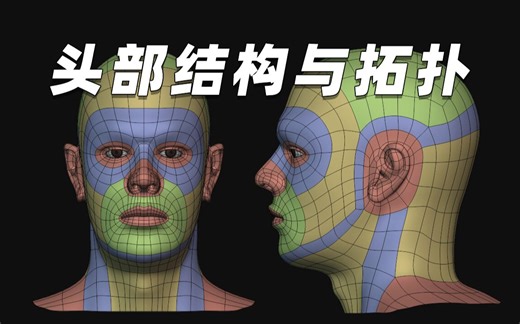 什么是拓扑？如何简单又干净地完成头部结构和拓扑？次世代角色雕刻教程 Blender拓扑 maya教程 zbrush新手雕刻教程