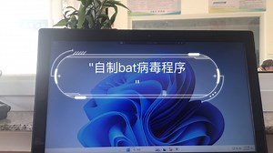 自制bat病毒程序