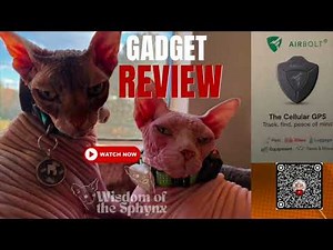 Sphynx Cat GPS Tracker Review: AirBolt Gen 2 - Initial Thoughts