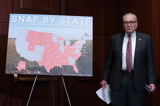 When will you get the SNAP benefit checks for December? Complete schedule for SNAP benefits for every US state after shutdown disruptions