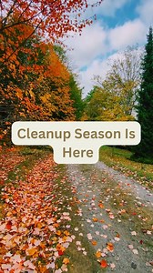Book your fall cleanup with Benny’s Landscaping NJ today! #ProfessionalLandscaping | Benny's Landscaping & Construction | Facebook