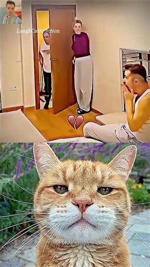 give this video title 💀😂 (warning answer) #cat #dance #memes #reelschallenge