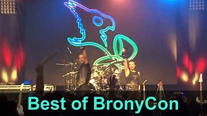 4.5K views · 75 reactions | BEST OF BRONYCON  I am thrilled to...