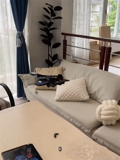 Experience the Ultimate Flying Toy with 360° Flip