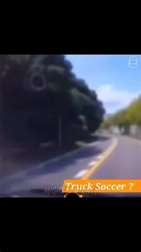 picker reels | How fast is a snail's pace? As they crawl they secrete a slime to help themselves move across surfaces. Snails and slugs travel at speeds... | Instagram