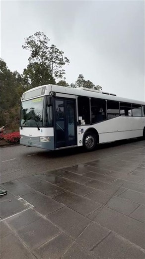 HGCB BS12TJ Volvo B12BLE Bustech VST in QLD for railbus run for GC closure #shorts #railbus
