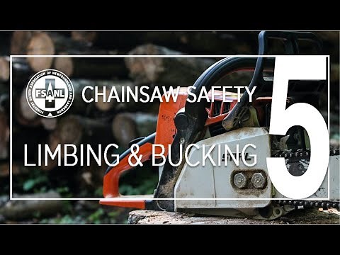 Chainsaw Safety | Limbing & Bucking