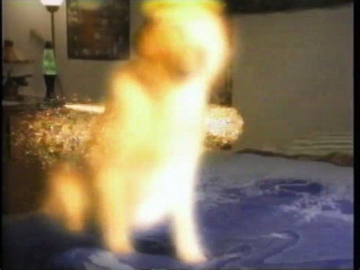 My Ghost Dog | movie | 1997 | Official Trailer - video Dailymotion