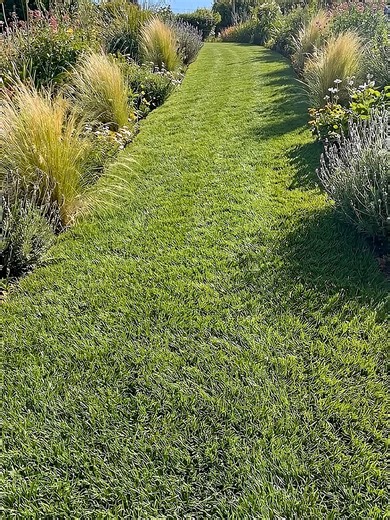 Transforming Old Tires into a Stunning Garden Pathway
