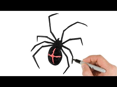 How to Draw Black Spider Easy / Insects Drawing Tutorial