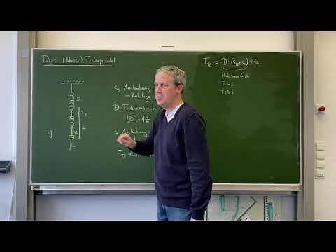 Physik - Federpendel