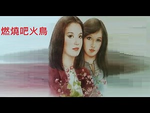 📽️燃燒吧火鳥 (1982) 電影版 MV [Demo] (留存檔)
