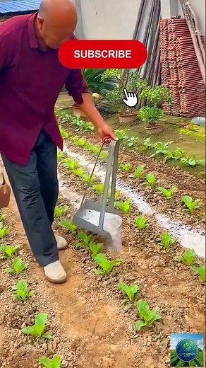 The Secret to Perfect Soil Preparation & Natural Fertilizer Hacks 💡✨ #agritech #farming #satisfying