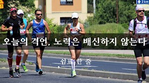 오늘의 격언, 노력은 배신하지 않는다