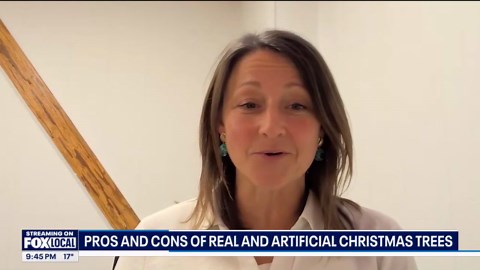 Pros and cons of real and artificial Christmas trees