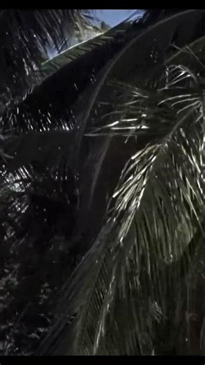 Every shadow could be the last thing they see. Unbearable tension from the archives.