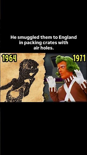 The Oompa Loompas Were Slaves