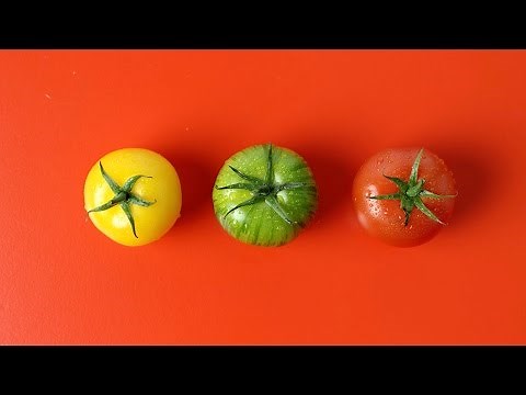 Tupperware - Click Series Phase II