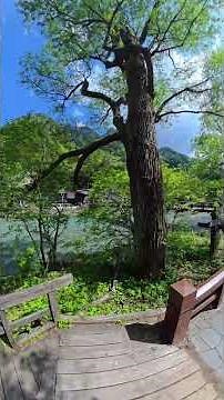 上高地｜透明すぎる川と山 | Kamikochi, Japan | A Walk Through Paradise