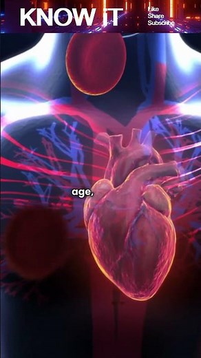 Is Heart Rate Stable or does it Vary? ❤️