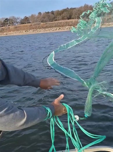 catching a net full of catfish!! #castnetfishing #howtothrowacastnet #captainredbeard #jasonhyman #100gar