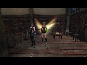 Neverwinter FR - TUTO: Les compagnons