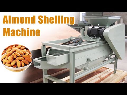 Almond Shelling Machine 400 kg/h | 98% Shelling Rate | Nut Processing Equipment