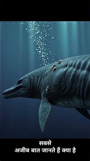 Duniya ki sabse khatarnak Whale: Basilosaurus ki Kahani 🐋💀 #facts