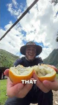 Day 4 of hiking the Salkantay Trek to Machu Picchu!