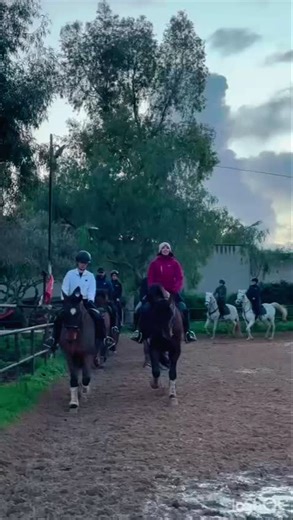 Video di Yeguada Norrito (@ubbe_ventiscazm_pre) con suono originale - NOEL