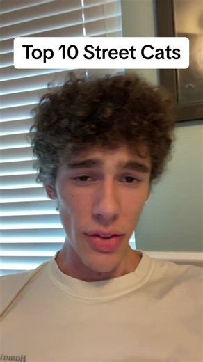 Ranking Top 10 Street Cats