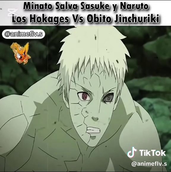 animeflv.s on TikTok