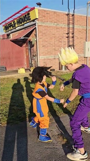 Gohan vs goten