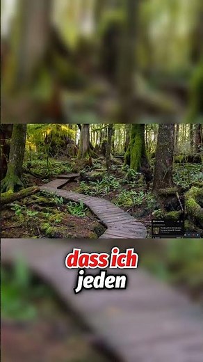 A fresh wallpaper every day – here’s how!