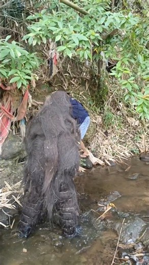 scary incident wild camping in the forest #scary #creepy #ghost #monster #horror