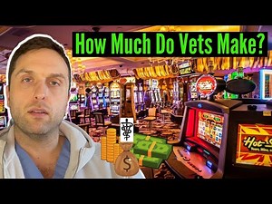 How Much I Make As A Vet