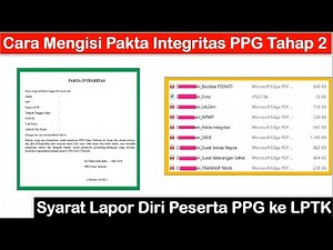 How to Fill Out the PPG Stage 2 Integrity Pact as a Requirement for PPG Participant Self-Reportin...