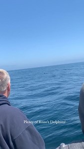 Discovery Whale Watch on Reels | Facebook