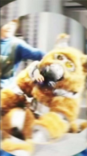 Boxey’s daggit, “Muffit” (1978 “Battlestar Galactica”)