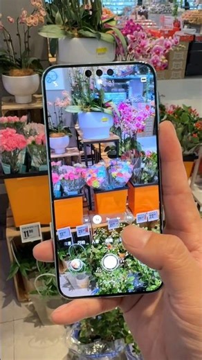 Huawei Mate 80 with Harmony 2nd Generation Image Processing System: Real-world shooting experience.