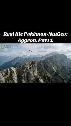 #reallifepokemon #pokemon #aggron #aron #pokemonwildlife | aggron from pokemon