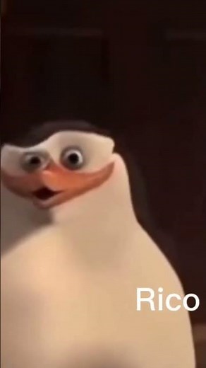 #penguin #kaboom #explosion #explode #boom