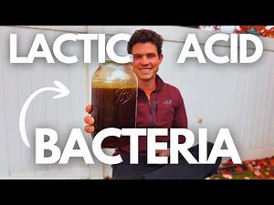 This ONE Ingredient Turns Food Waste into Soil (Bokashi Deep-Dive)