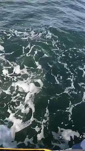 I took my Sea-Doo 20 miles offshore for this fish! | Southern Salt Fishing