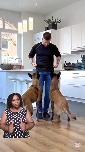 K-9 malinois training with commando | NK TV