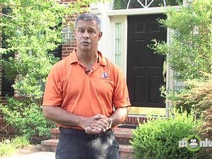 Professional Tree Care Insurance Credentials