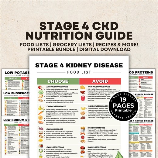 Stage 4 Kidney Disease Food List, Renal Diet, Kidney Friendly Food List, Kidney Diet Foods Low in Potassium Phosphorus Sodium Protein Bundle - Etsy